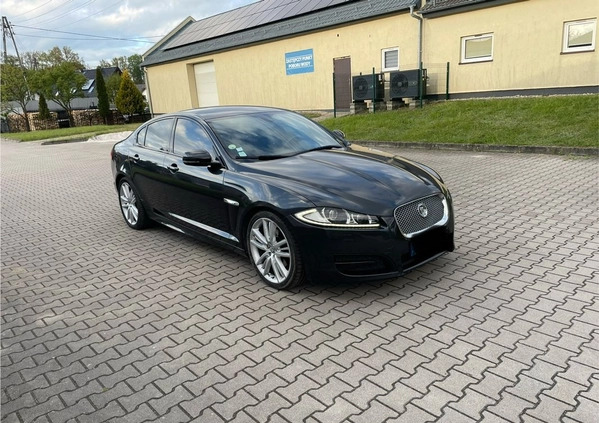 Jaguar XF cena 35900 przebieg: 220000, rok produkcji 2014 z Skawina małe 67